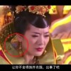 word免费版电脑版下载